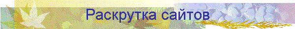 Раскрутка сайтов